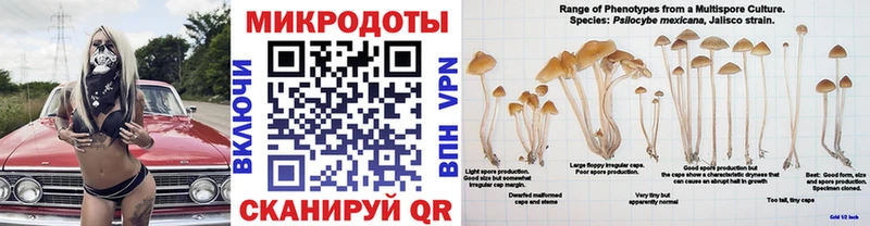 Псилоцибиновые грибы Psilocybine cubensis купить Крымск