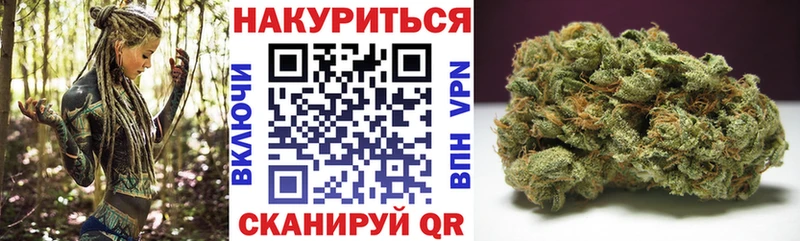 Конопля гибрид  Крымск 